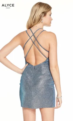 Alyce Paris Style #4179